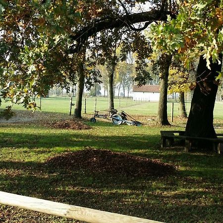 Scuderia 100 Pertiche Villa Villanterio Dış mekan fotoğraf